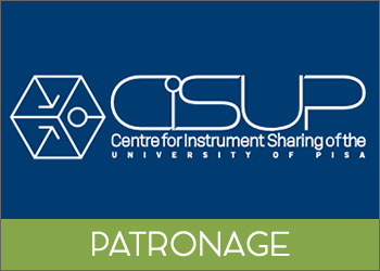 CISUP
