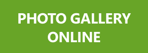 banner gallery
